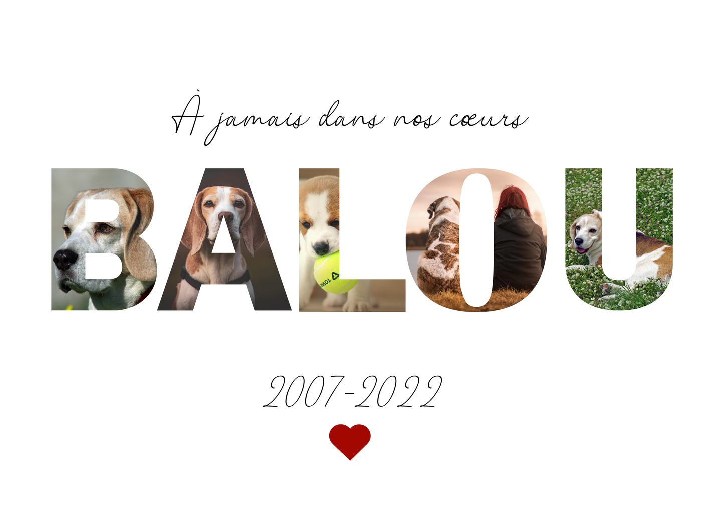 Cadre photo personnalisé pour animal de compagnie – Hommage ou souvenir plein d’amour