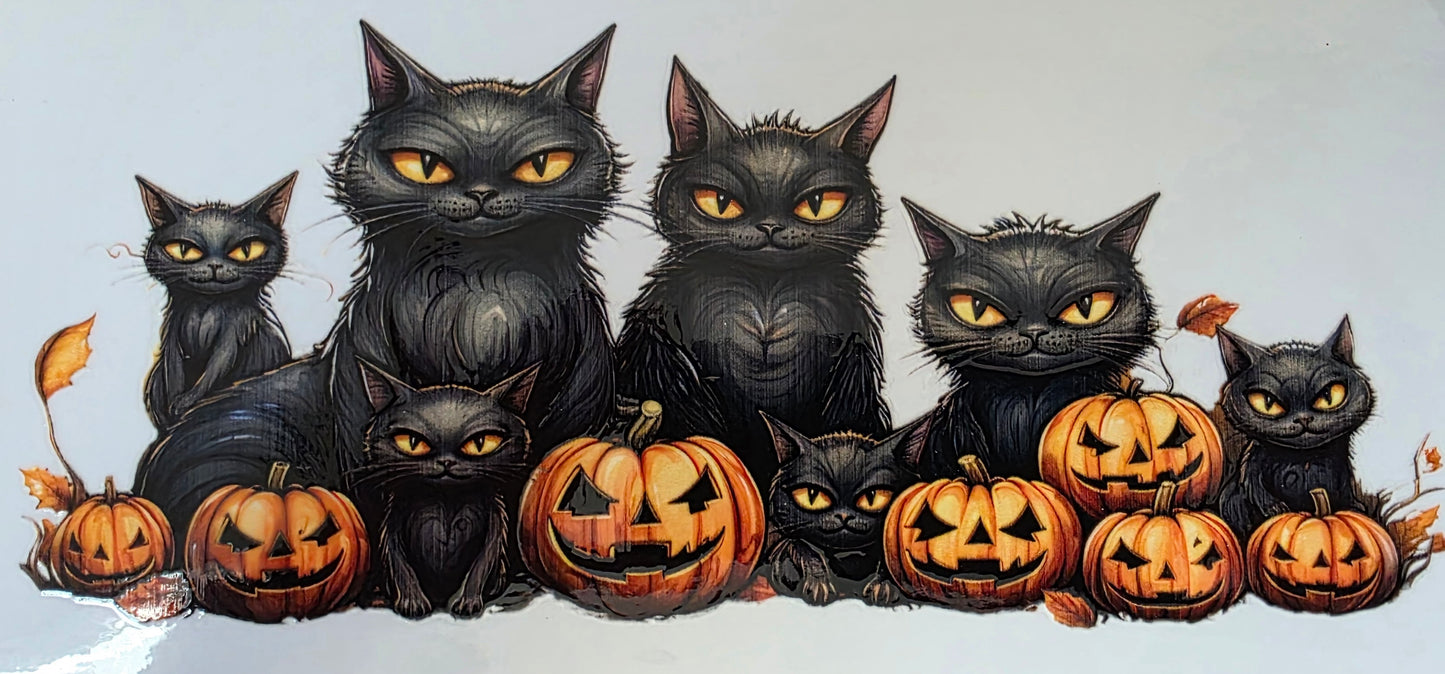 Verre mug + paille et boite cadeau