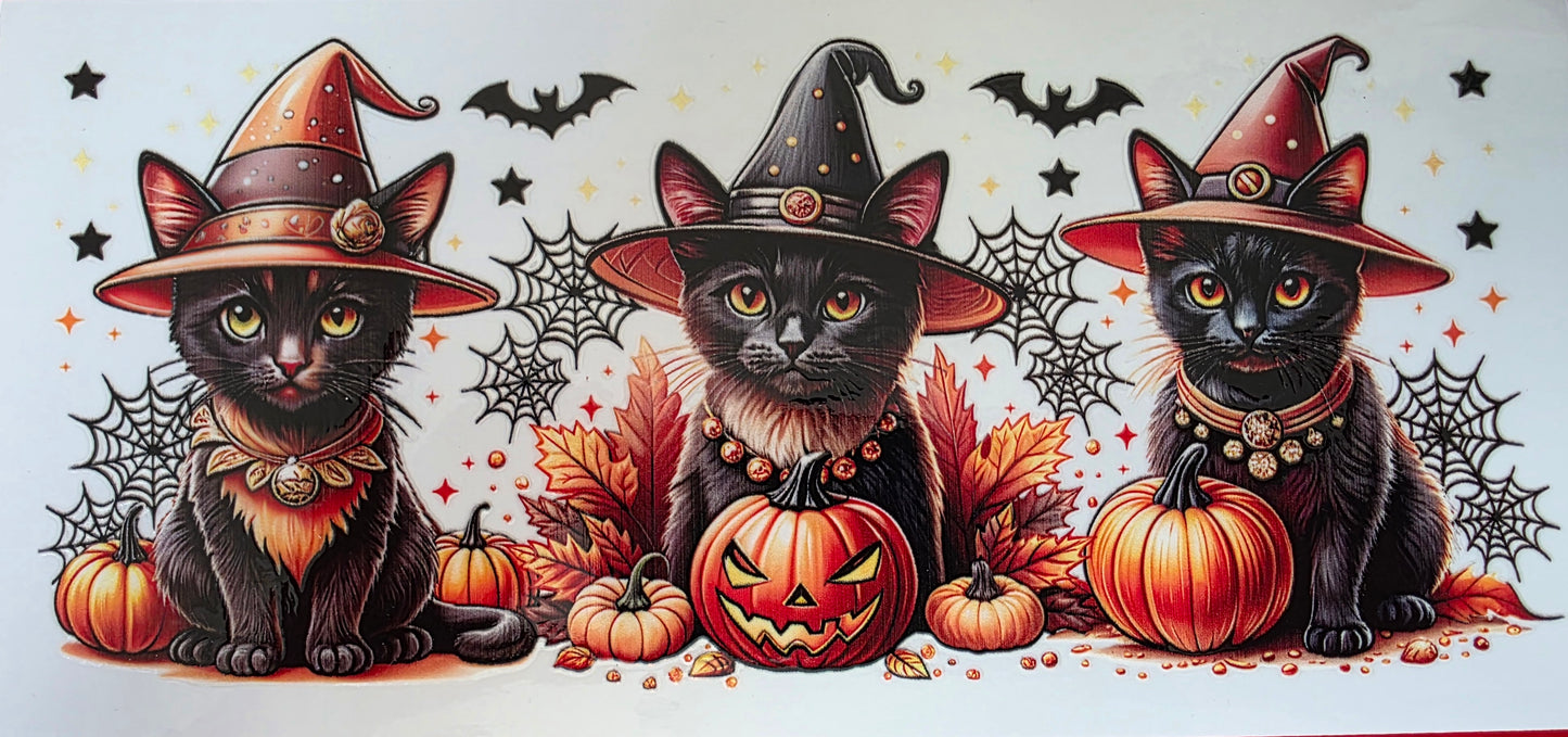 Verre mug + paille et boite cadeau